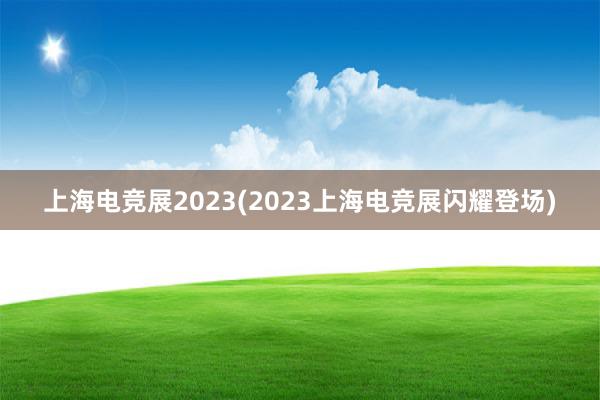 上海电竞展2023(2023上海电竞展闪耀登场)