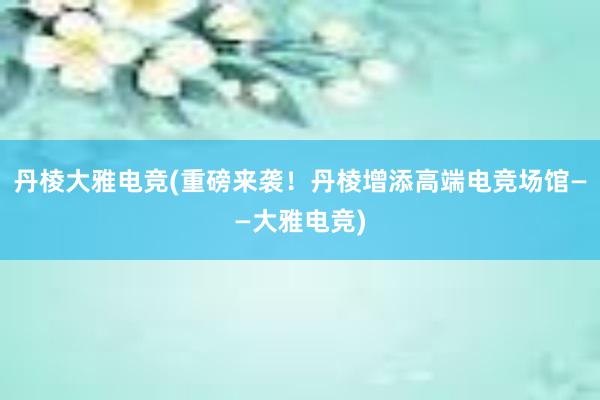 丹棱大雅电竞(重磅来袭！丹棱增添高端电竞场馆——大雅电竞)