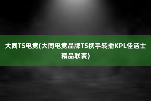 大同TS电竞(大同电竞品牌TS携手转播KPL佳洁士精品联赛)