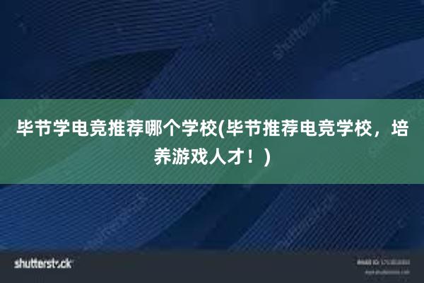 毕节学电竞推荐哪个学校(毕节推荐电竞学校，培养游戏人才！)