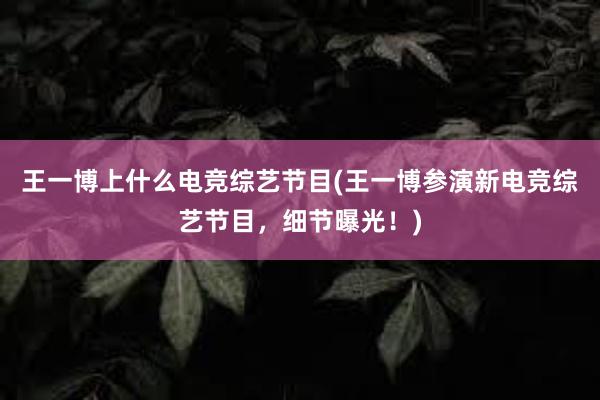 王一博上什么电竞综艺节目(王一博参演新电竞综艺节目，细节曝光！)