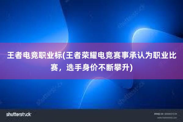 王者电竞职业标(王者荣耀电竞赛事承认为职业比赛，选手身价不断攀升)