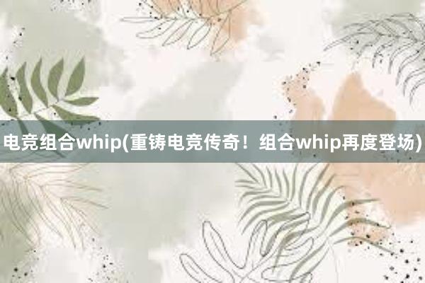 电竞组合whip(重铸电竞传奇！组合whip再度登场)