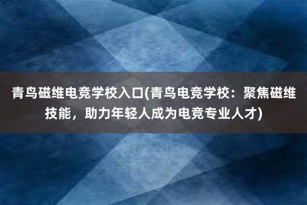 青鸟磁维电竞学校入口(青鸟电竞学校：聚焦磁维技能，助力年轻人成为电竞专业人才)