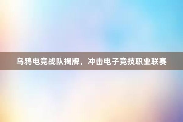 乌鸦电竞战队揭牌，冲击电子竞技职业联赛