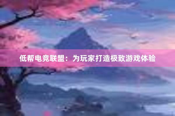 低帮电竞联盟：为玩家打造极致游戏体验