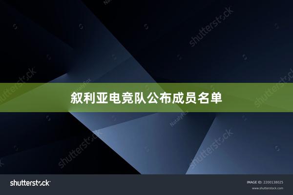 叙利亚电竞队公布成员名单