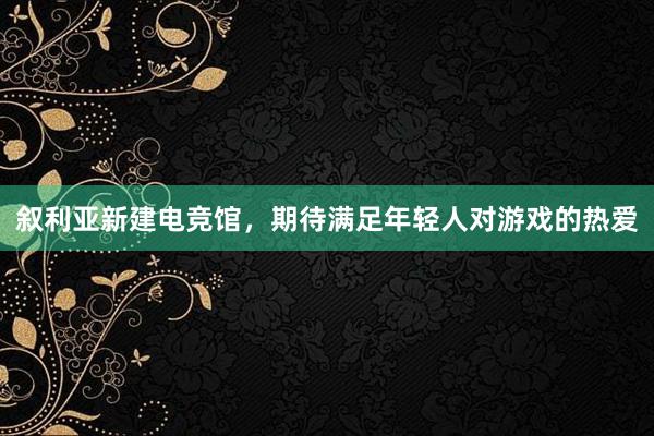 叙利亚新建电竞馆，期待满足年轻人对游戏的热爱