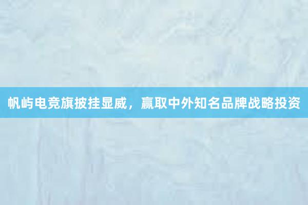 帆屿电竞旗披挂显威，赢取中外知名品牌战略投资