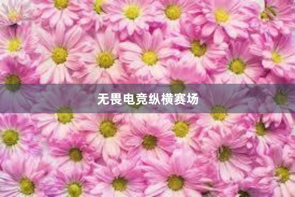 无畏电竞纵横赛场