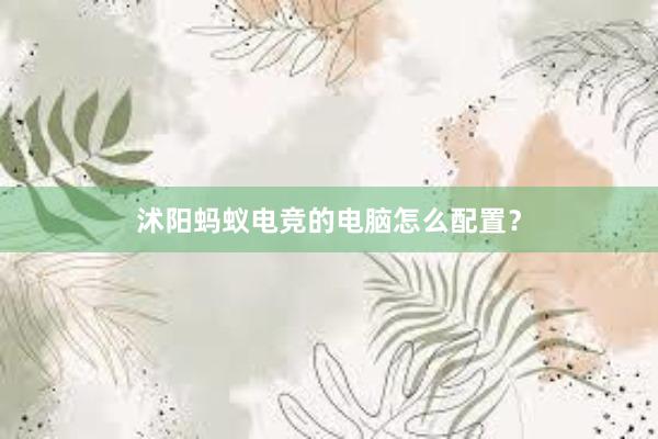 沭阳蚂蚁电竞的电脑怎么配置？