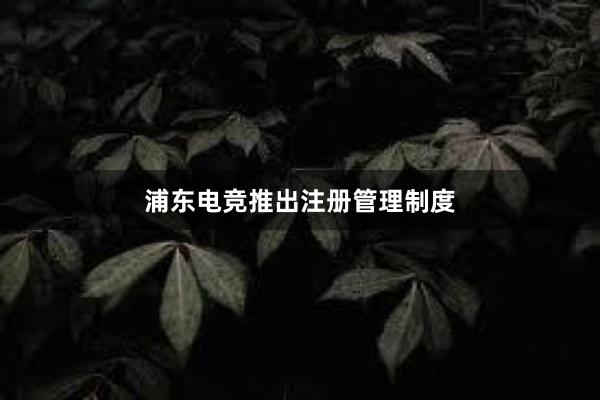 浦东电竞推出注册管理制度