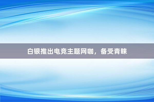 白银推出电竞主题网咖，备受青睐