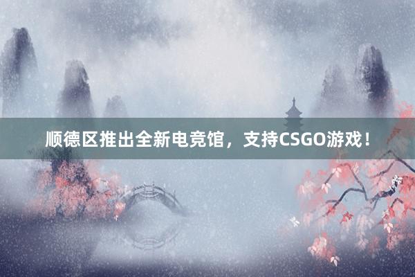 顺德区推出全新电竞馆，支持CSGO游戏！