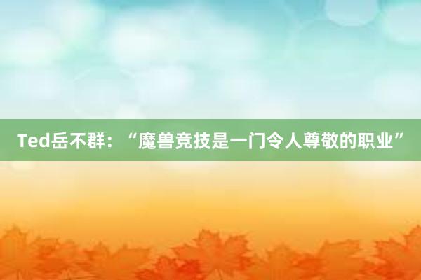 Ted岳不群：“魔兽竞技是一门令人尊敬的职业”